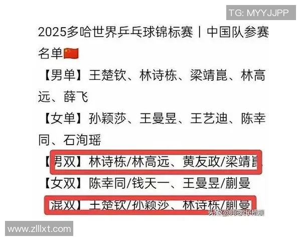 热议武汉乒乓球队力量变革背后的战略调整与未来发展潜力
