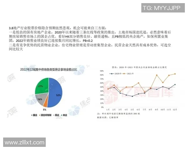 深入分析北京羽毛球队运营模式与发展策略的热点解读