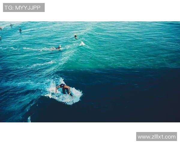 运动数据南京极限运动队节奏对比深度解析与发展趋势探讨