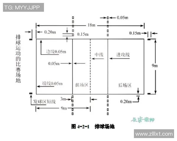 运动数据排球装备选购指南必备训练器材推荐与使用技巧分享